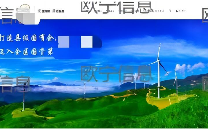 网站建设服务,网络服务,信息系统集成建设服务